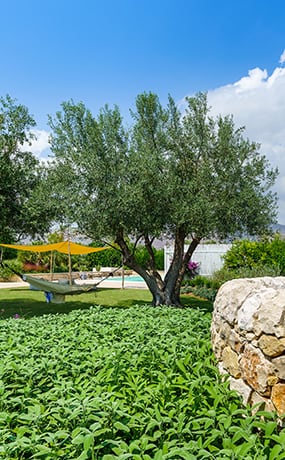 Family villas