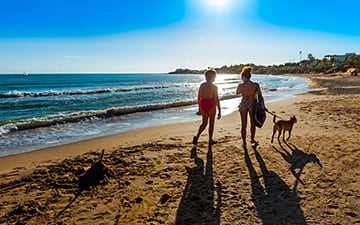 Pet-friendly holidays